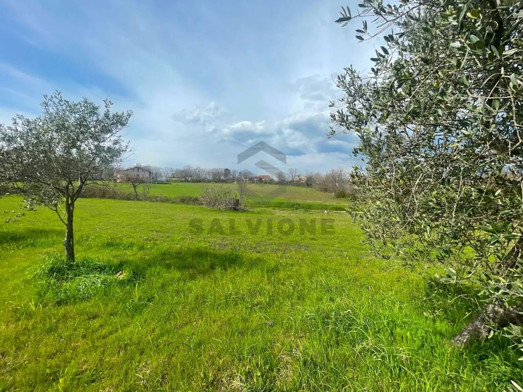 Terreno a Faicchio in Via Arenella S.N.C. - Foto 4