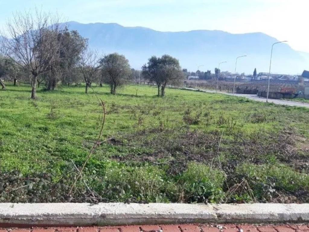 Terreno a San salvatore telesino in Ss - Foto 2