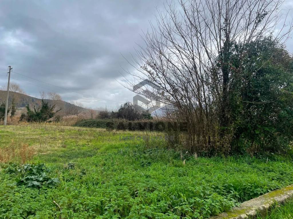 Terreno a San salvatore telesino in Via Grassano - Foto 2