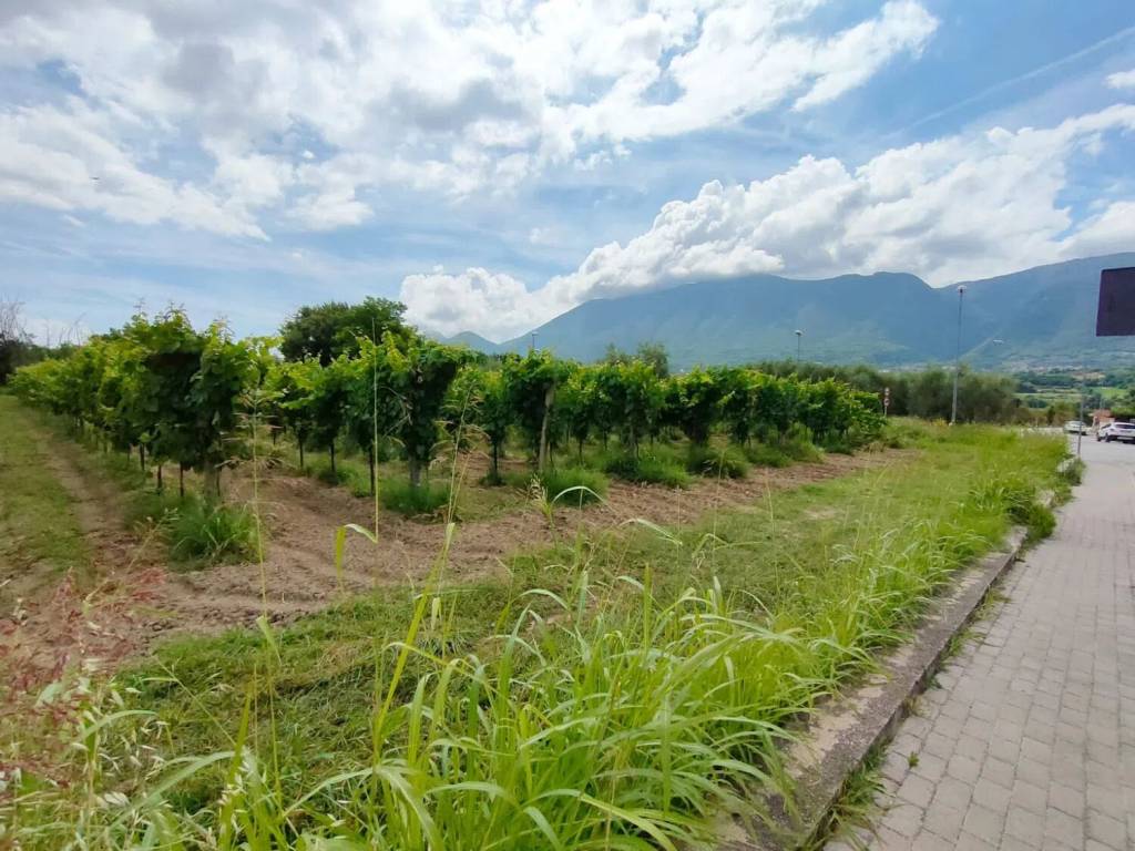 Terreno a Telese terme in Via Turistica Del Lago S.N.C. - Foto 2