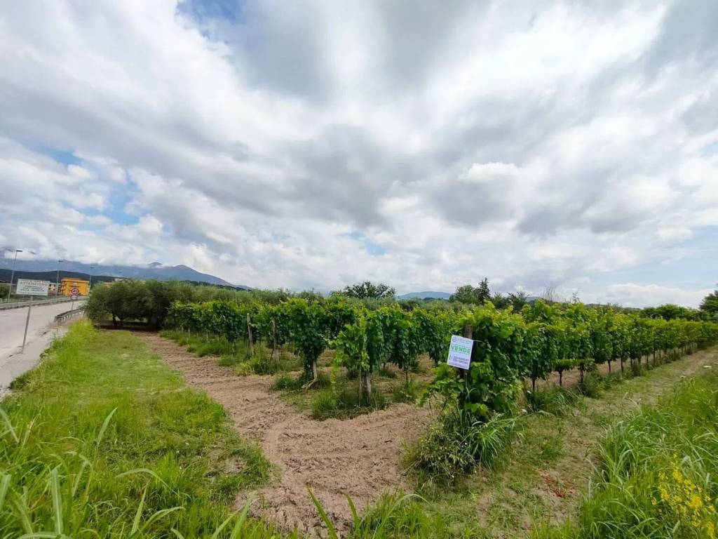 Terreno a Telese terme in Via Turistica Del Lago S.N.C. - Foto 3