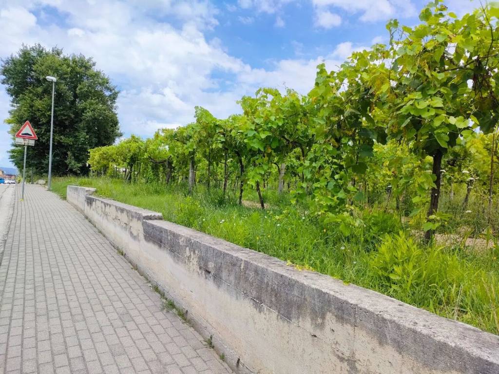 Terreno a Telese terme in Via Turistica Del Lago S.N.C. - Foto 4