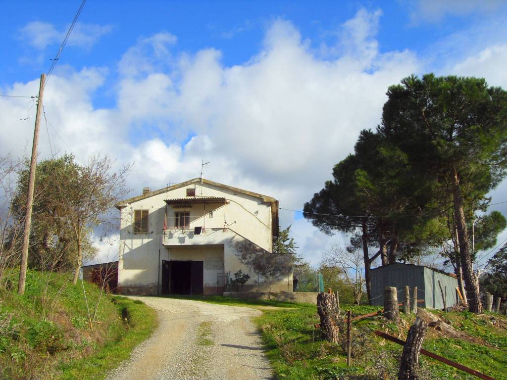 Terreno a Magliano in toscana in Strada Provinciale Aione, 2 - Foto 2