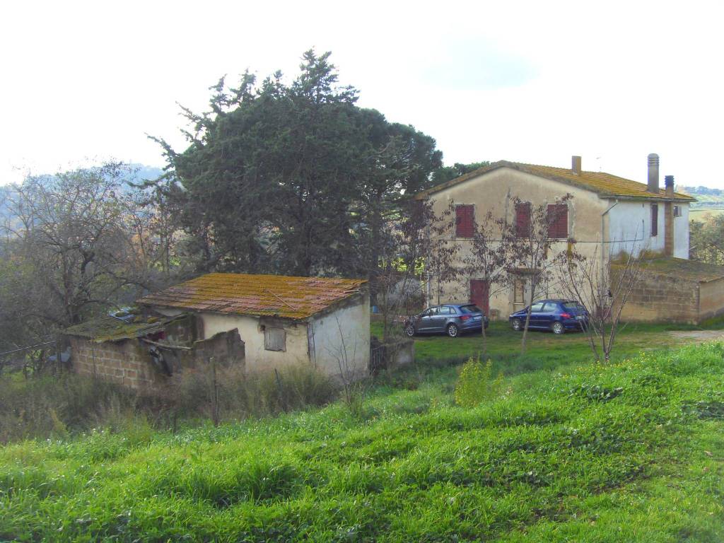 Terreno a Magliano in toscana in Strada Provinciale Aione, 2 - Foto 3