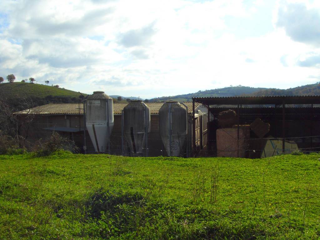 Terreno a Magliano in toscana in Strada Provinciale Aione, 2 - Foto 4