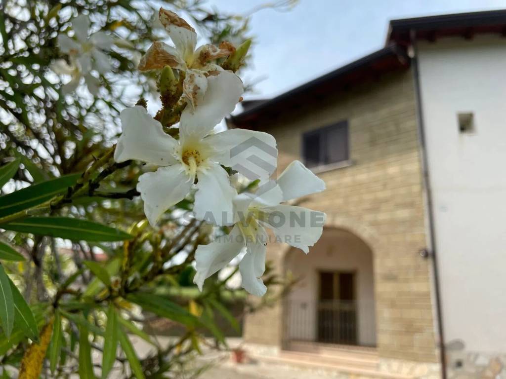 Villa a Faicchio in Via Coppoli, 1 - Foto 3