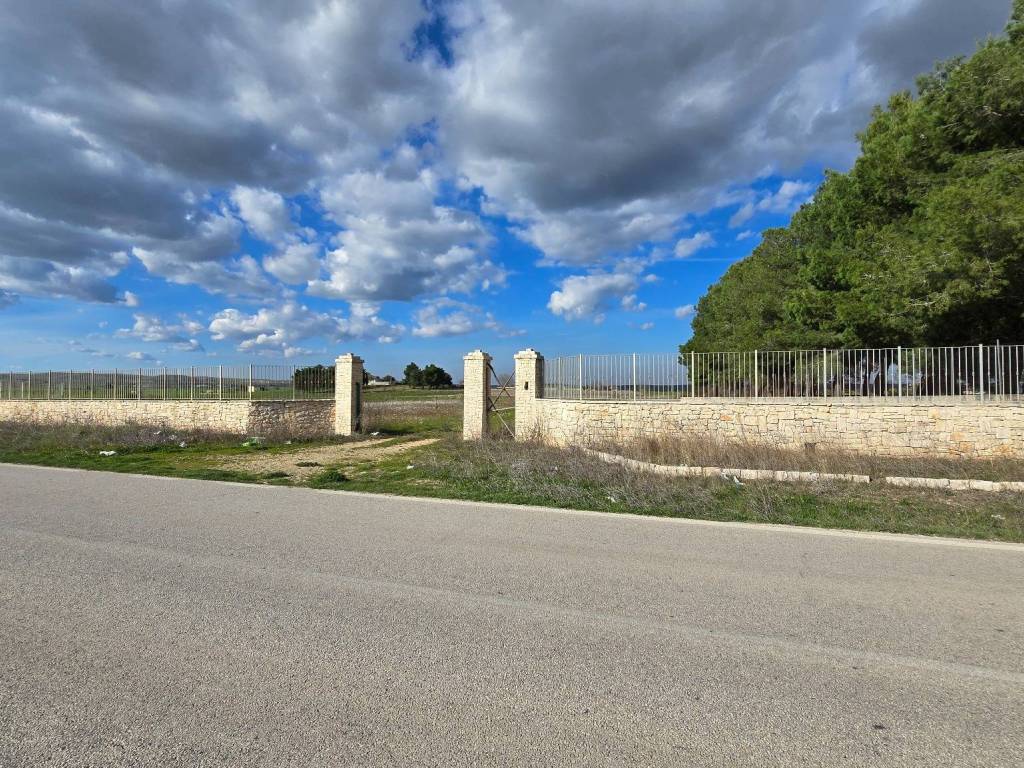 Terreno a Altamura in Strada Provinciale di Altamura - Foto 2