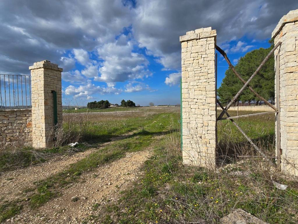 Terreno a Altamura in Strada Provinciale di Altamura - Foto 4