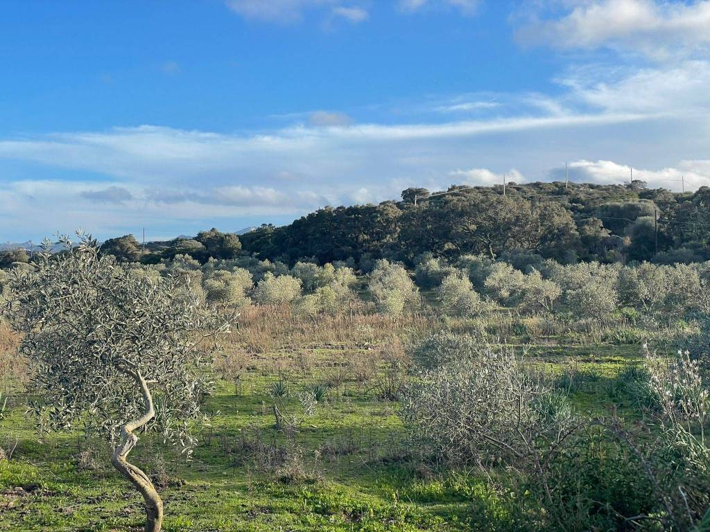 Terreno a Aglientu - Foto 2