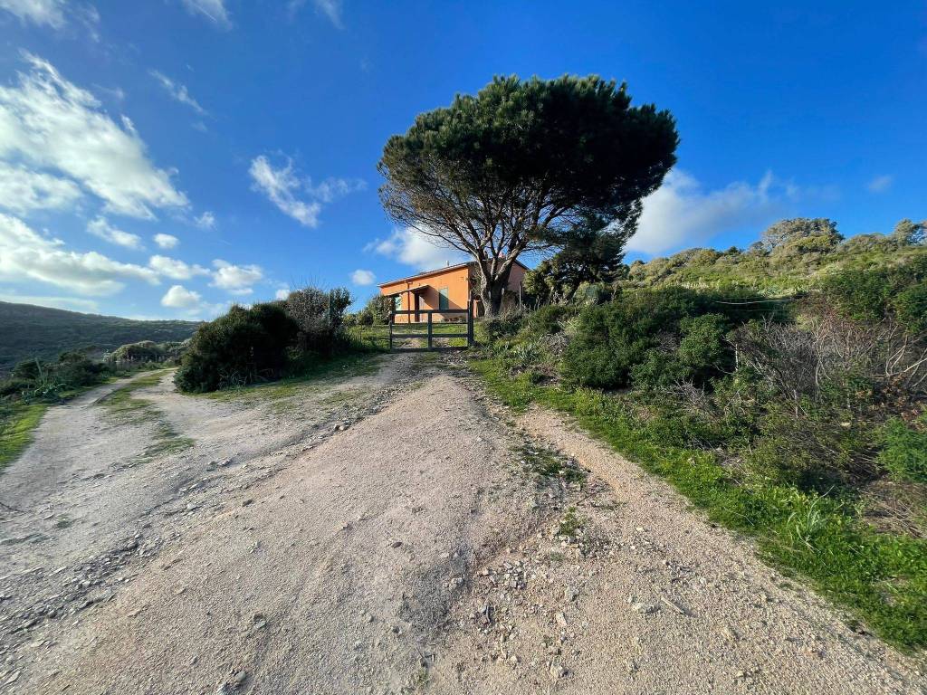 Terreno a Aglientu - Foto 5