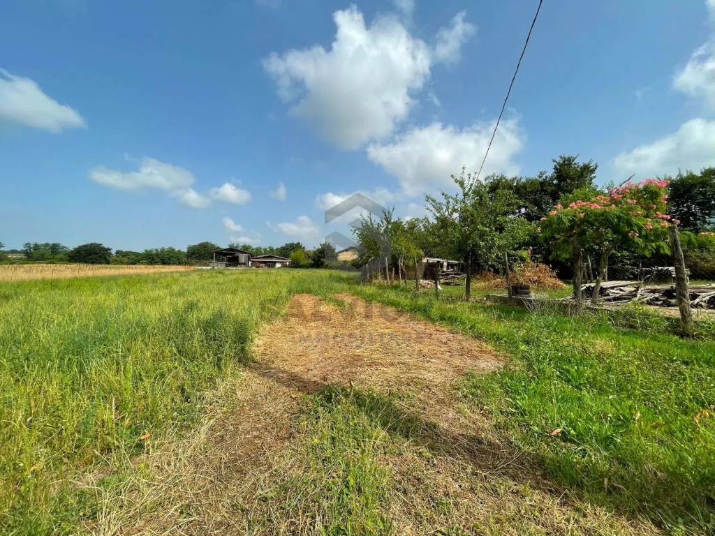 Rustico / casale a Faicchio in Strada Interpoderale Contrada Ceci, 28 - Foto 4