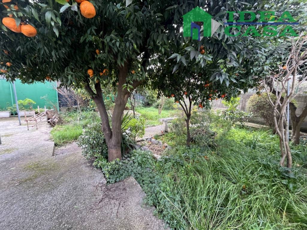 Casa indipendente a Pastorano in Corso Italia - Foto 5