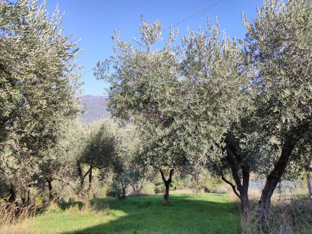 Rustico / casale a Configni in Via Venosta - Foto 4