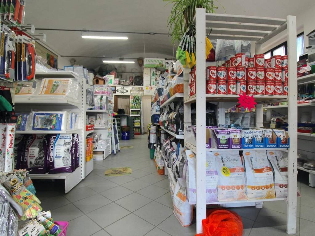 Immobile a Casciana terme lari in Via del Commercio - Foto 4