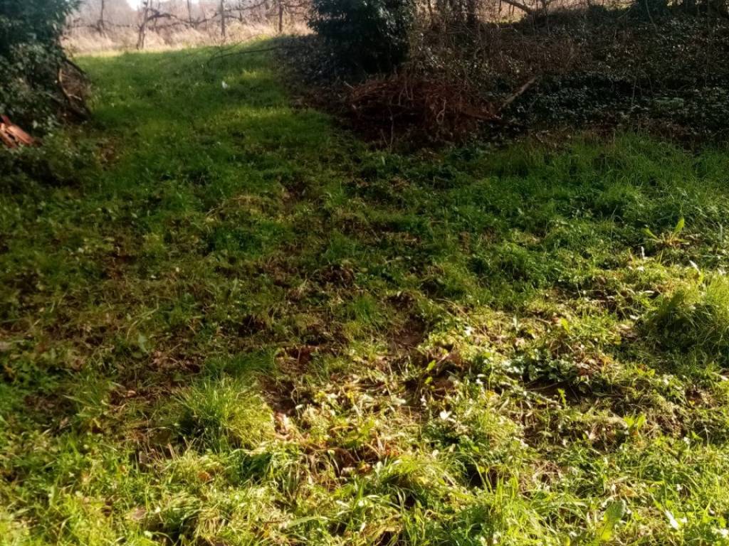 Rustico / casale a Terranuova bracciolini in Strada Provinciale Val di Ascione - Foto 3