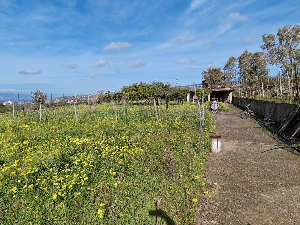 Terreno a Reggio calabria in Contrada Aretina - Foto 2