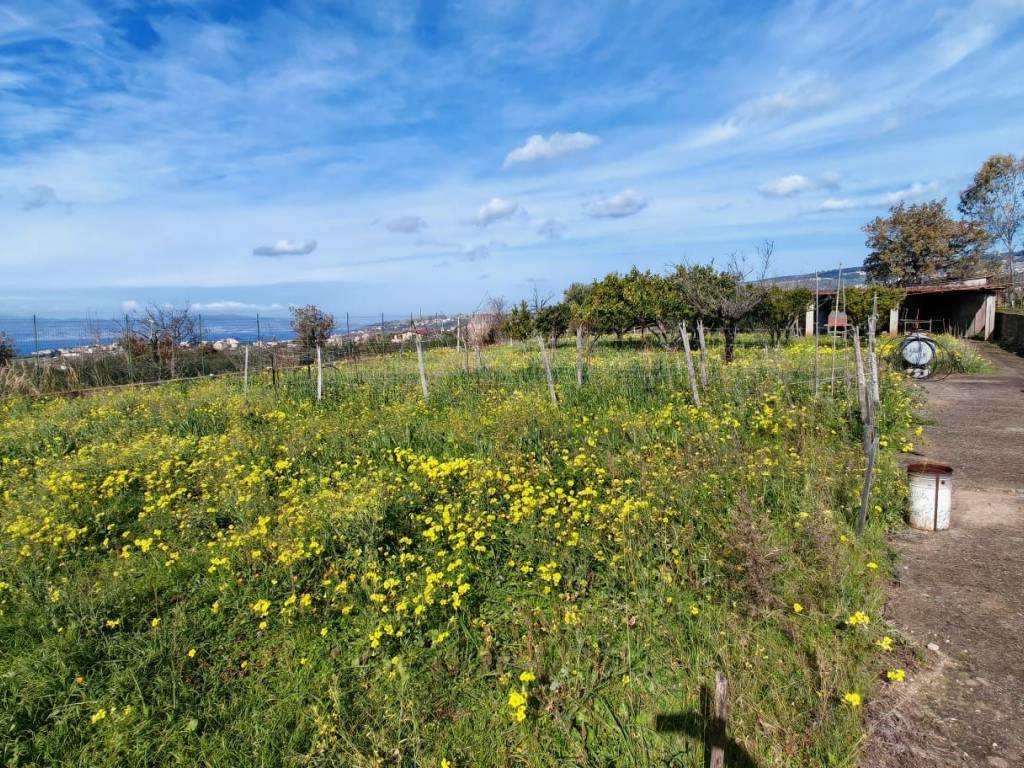 Terreno a Reggio calabria in Contrada Aretina - Foto 3