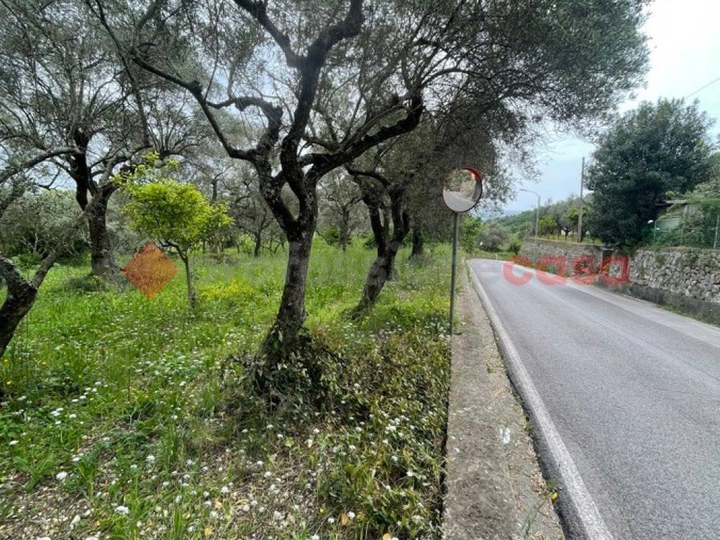 Terreno a Santi cosma e damiano in Via Randacci - Foto 4