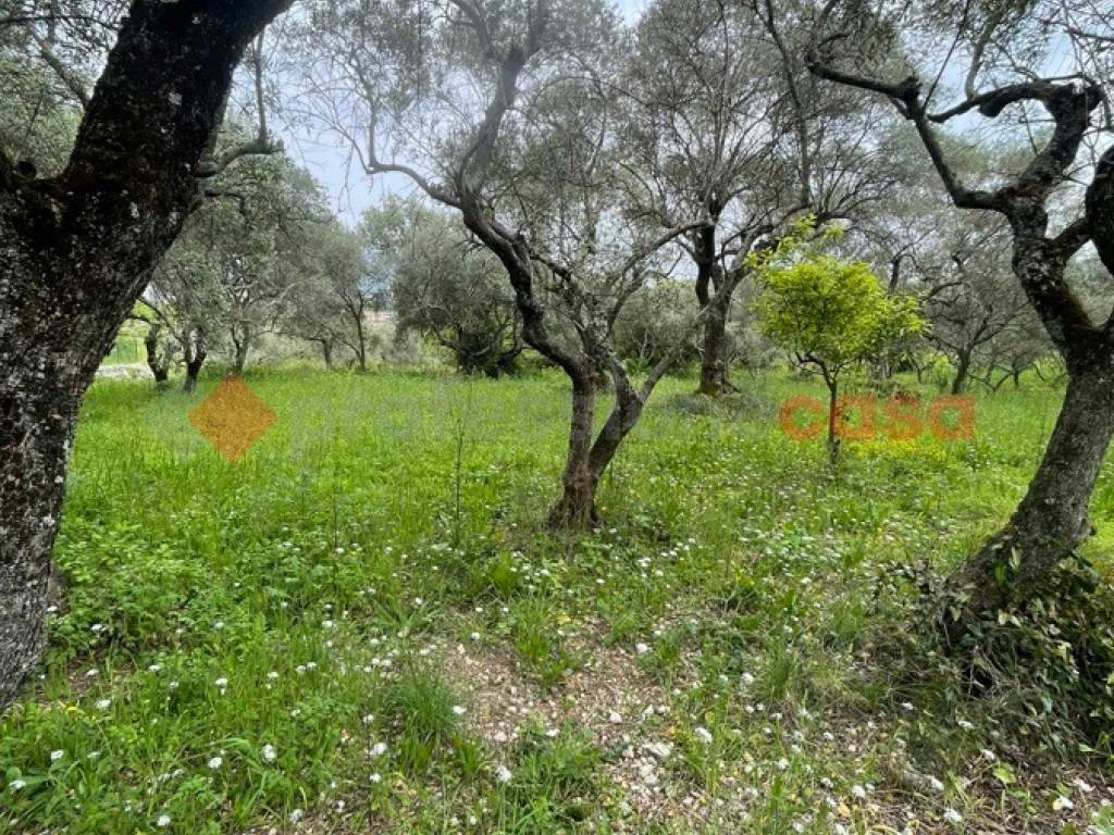 Terreno a Santi cosma e damiano in Via Randacci - Foto 5