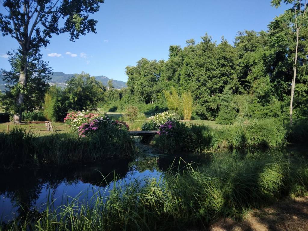 Villa a Pietrasanta in Via Goffredo Mameli, 7 - Foto 2