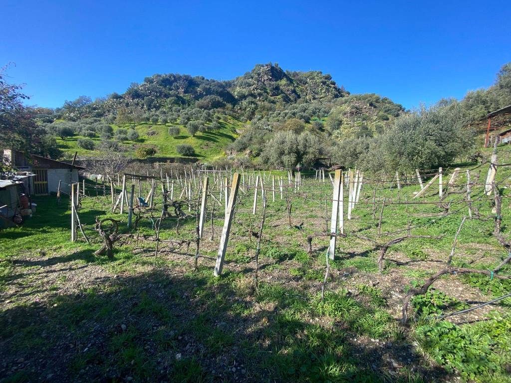 Rustico / casale a San lorenzo in Via San Fantino Casale - Foto 4