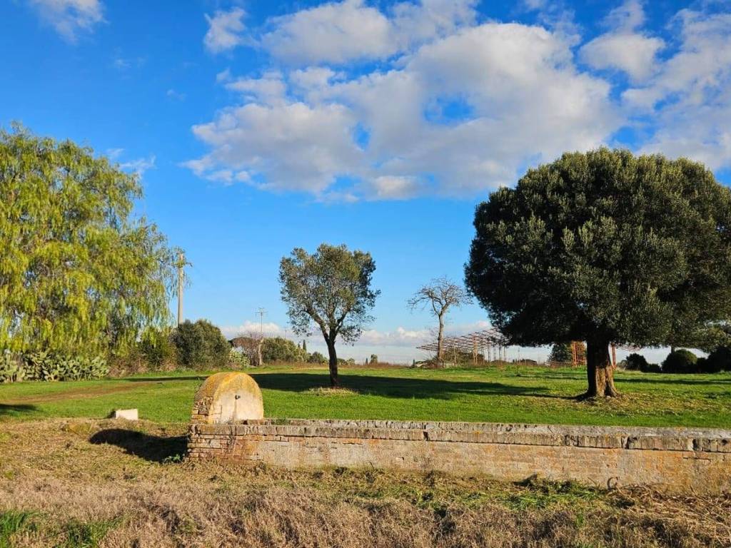 Terreno a Anguillara sabazia in Via Casale della Riccia - Foto 5