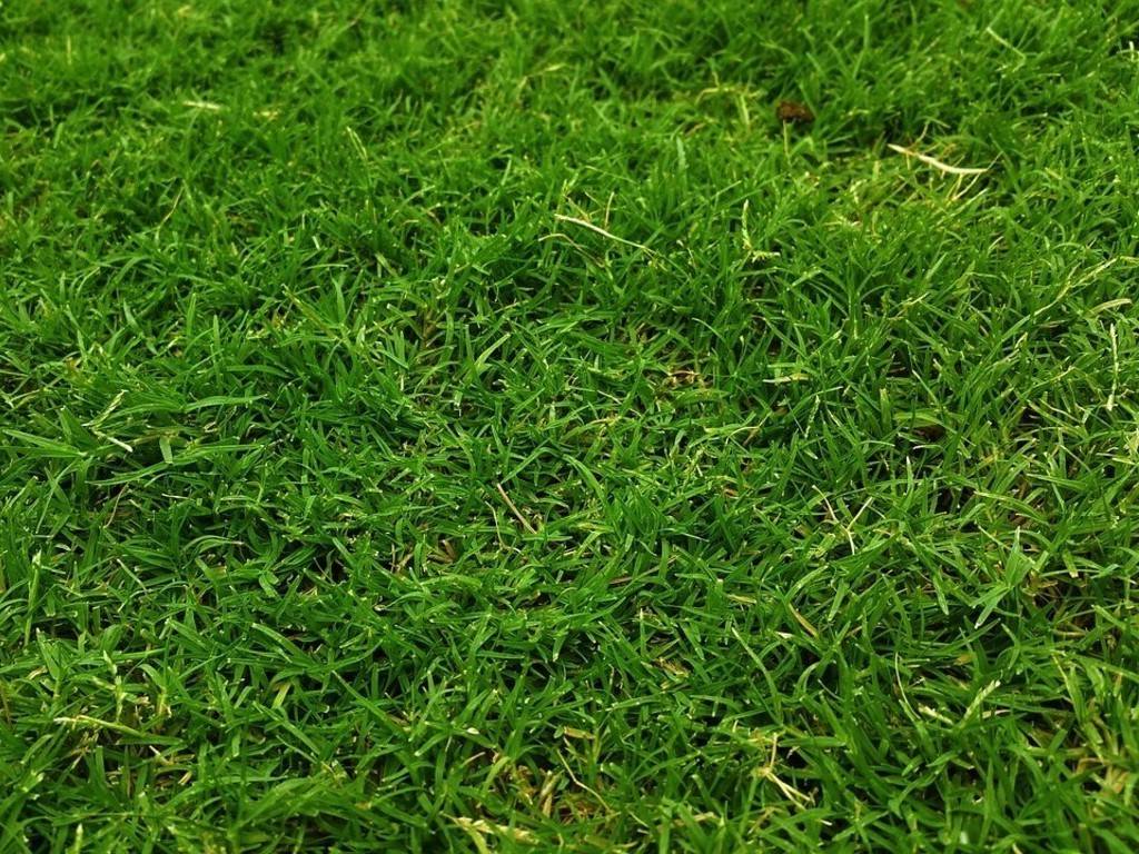 Terreno a Sarzana in Vicolo Turì - Foto 2