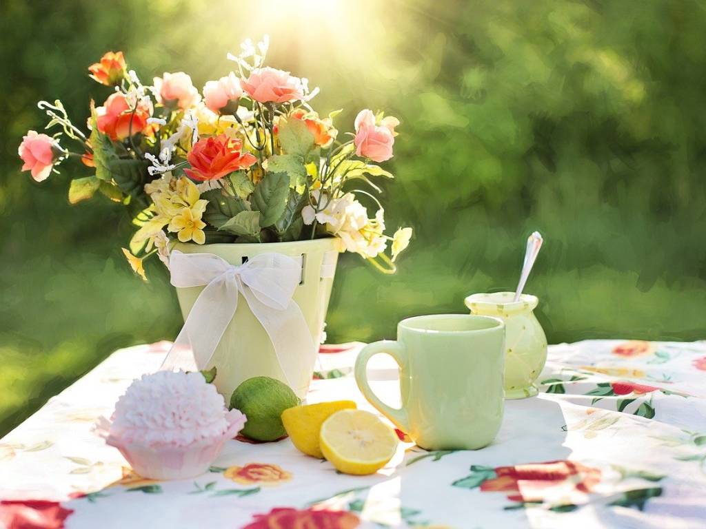 Terreno a Sarzana in Vicolo Turì - Foto 4