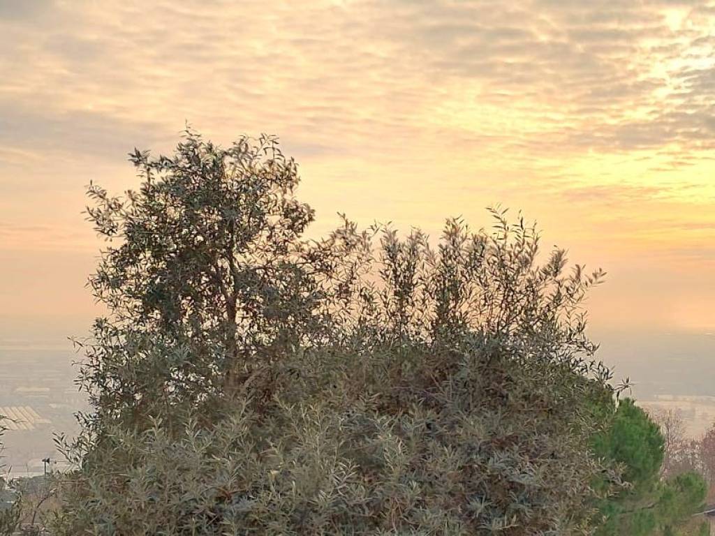 Villa a Chiuduno in Via Montebello - Foto 5