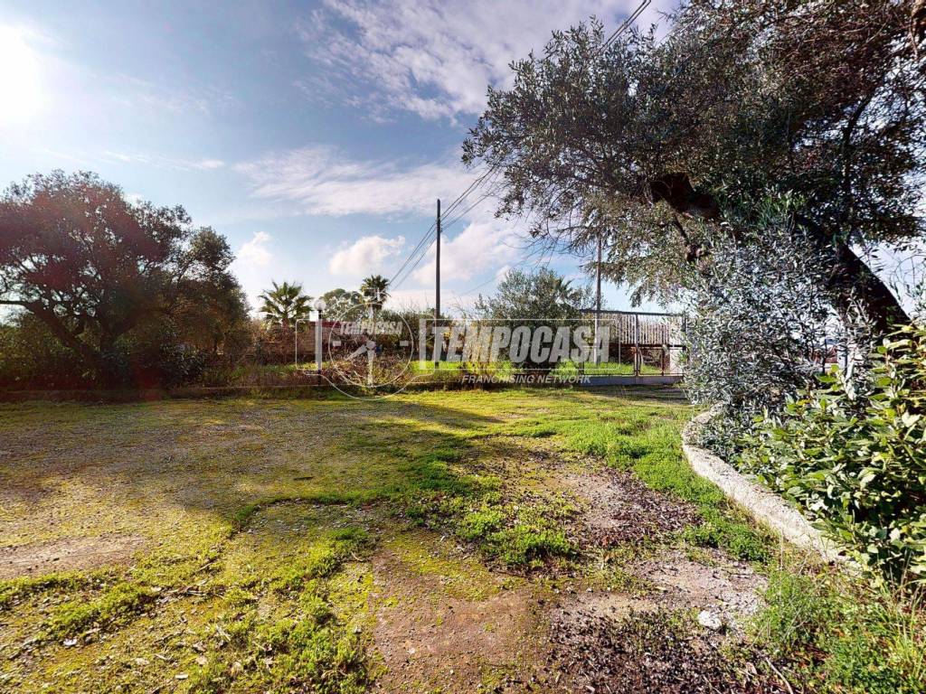 Villa a Conversano in Strada Provinciale per Cozze - Foto 2