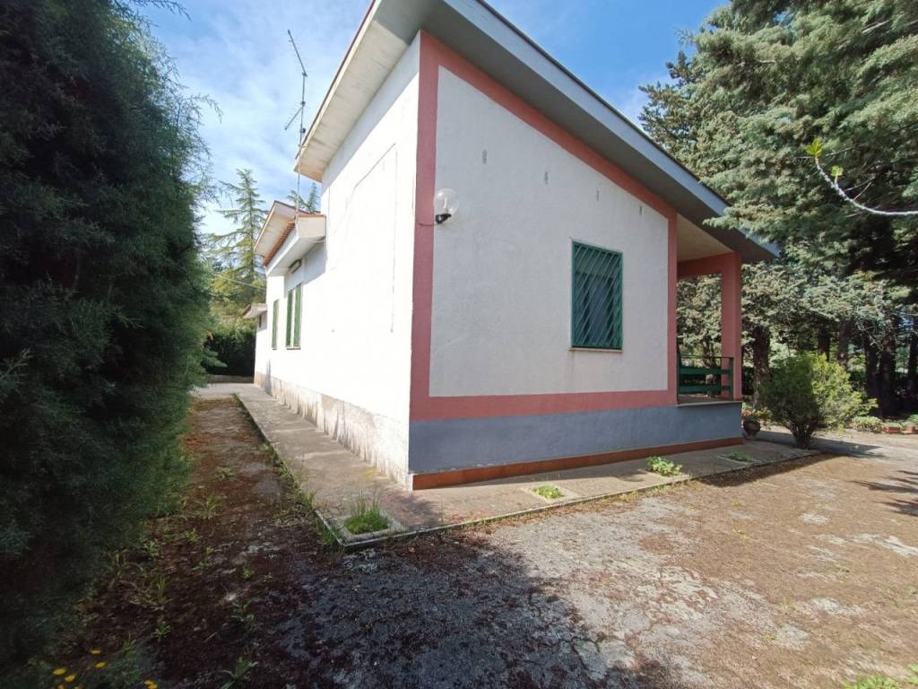 Villa a Andria in viale dei cedri - Foto 3