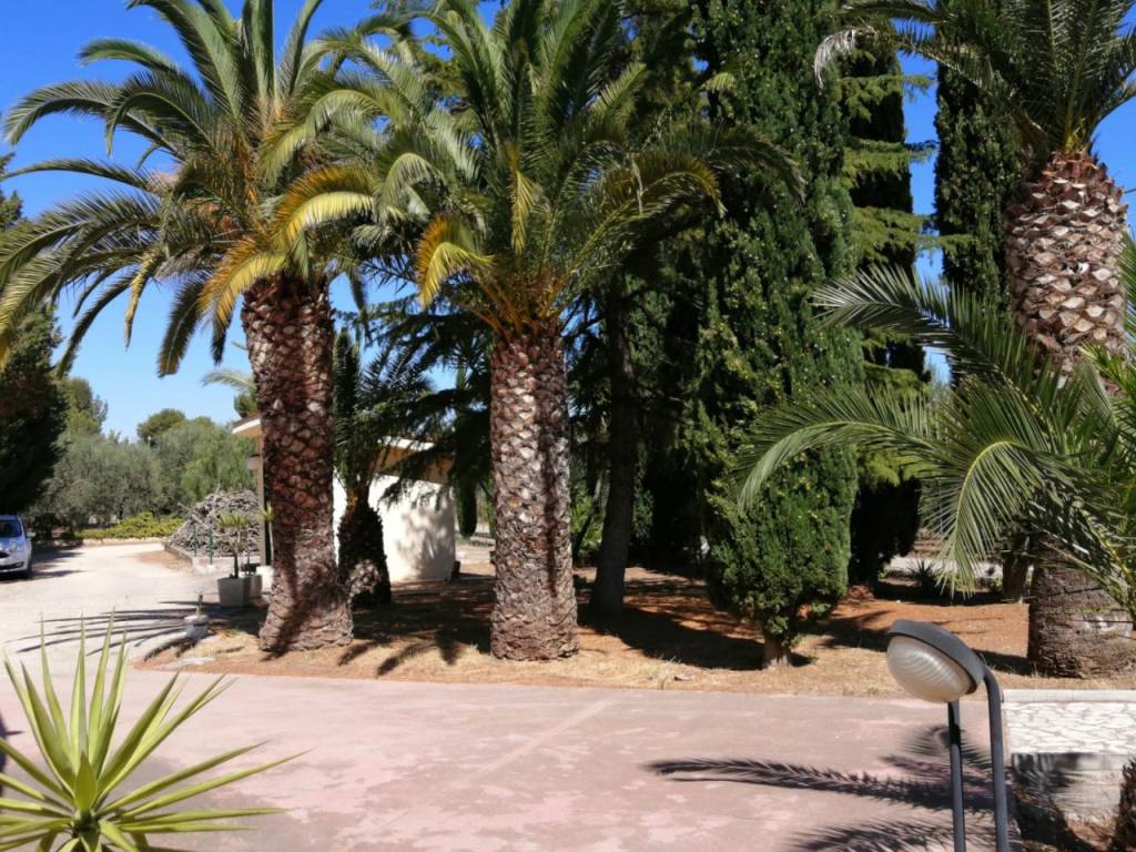 Villa a Andria - Foto 2