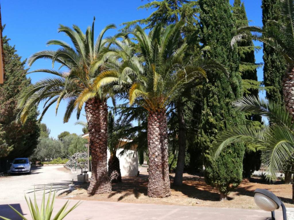 Villa a Andria - Foto 3