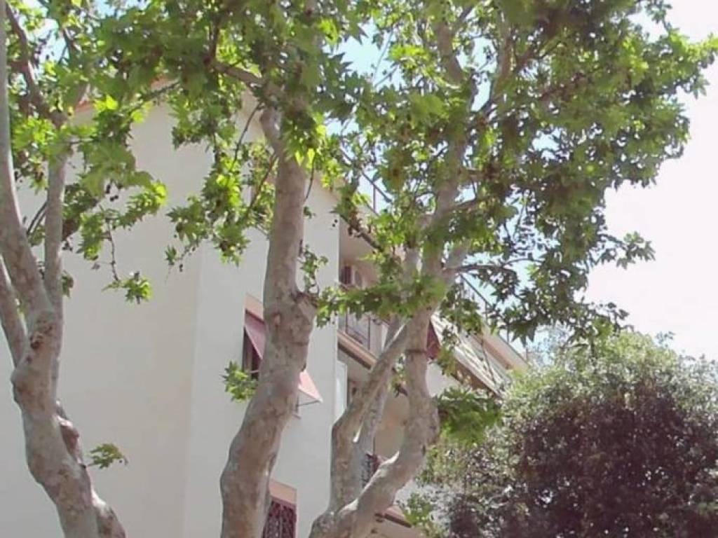 Appartamento a Ciampino in Via Monte Grappa - Foto 2