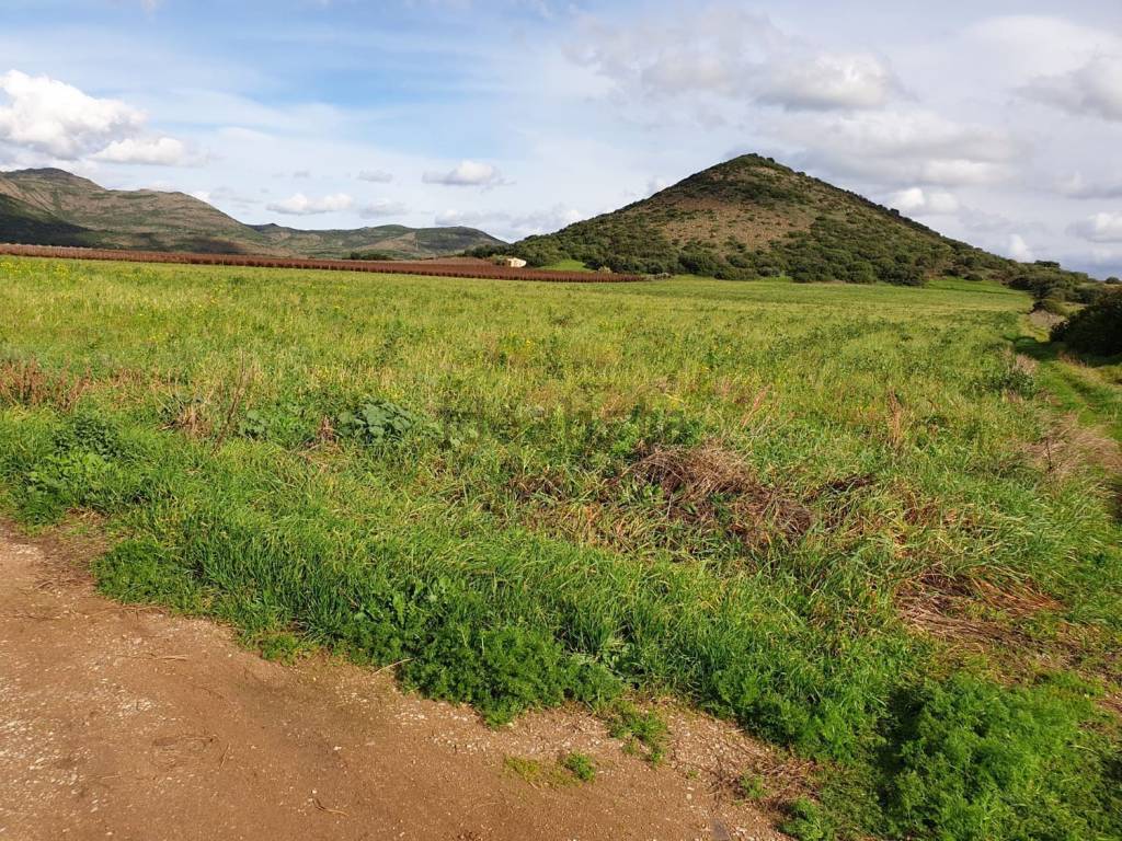 Terreno a Tratalias in Diga Monte Pranu S.N.C. - Foto 4