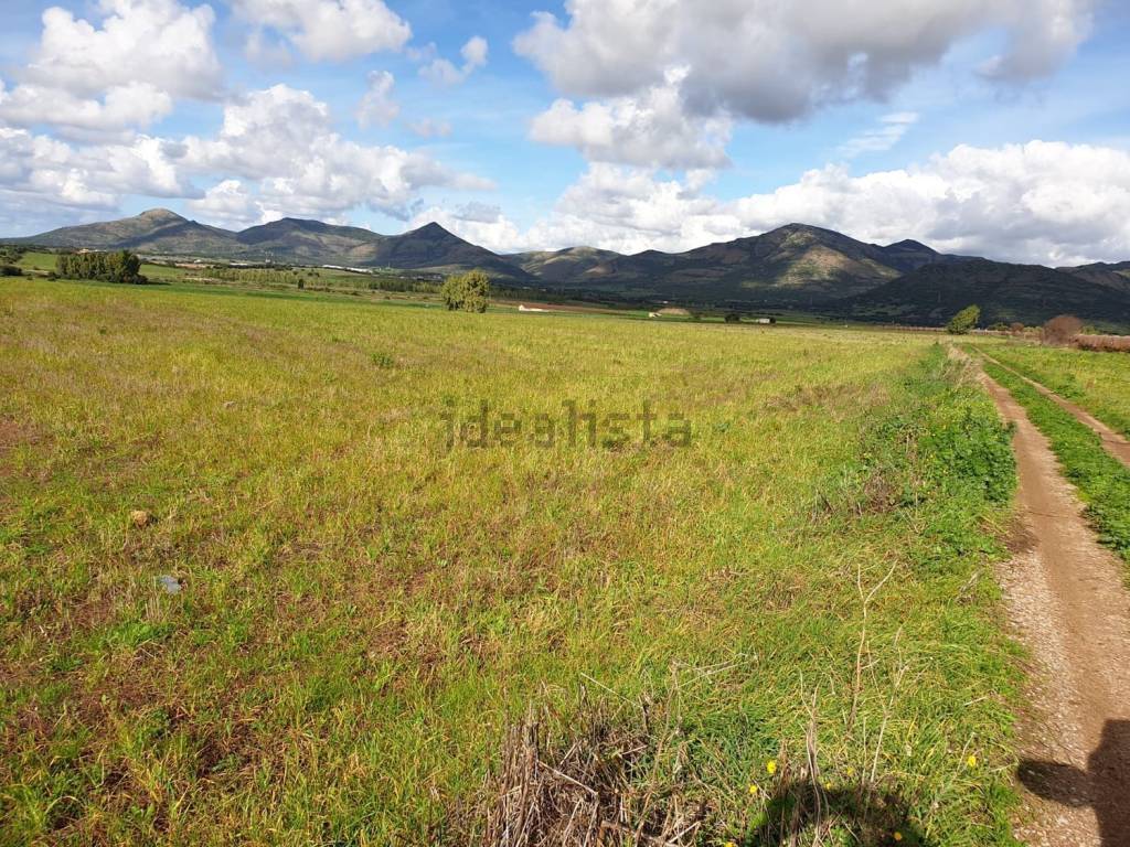 Terreno a Tratalias in Diga Monte Pranu S.N.C. - Foto 5