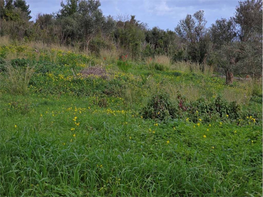 Terreno a Carini in Via Parisi - Foto 3