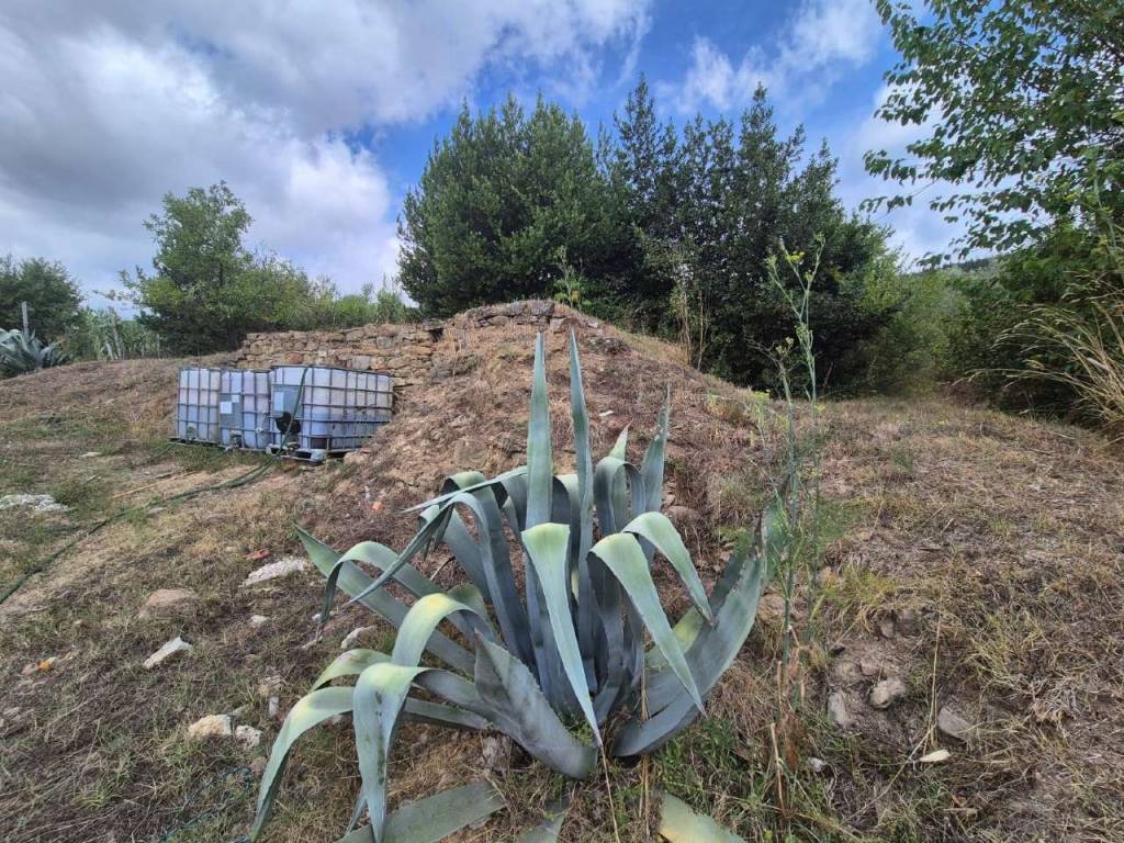 Immobile a Arezzo in Località Rigutino Nord - Foto 3