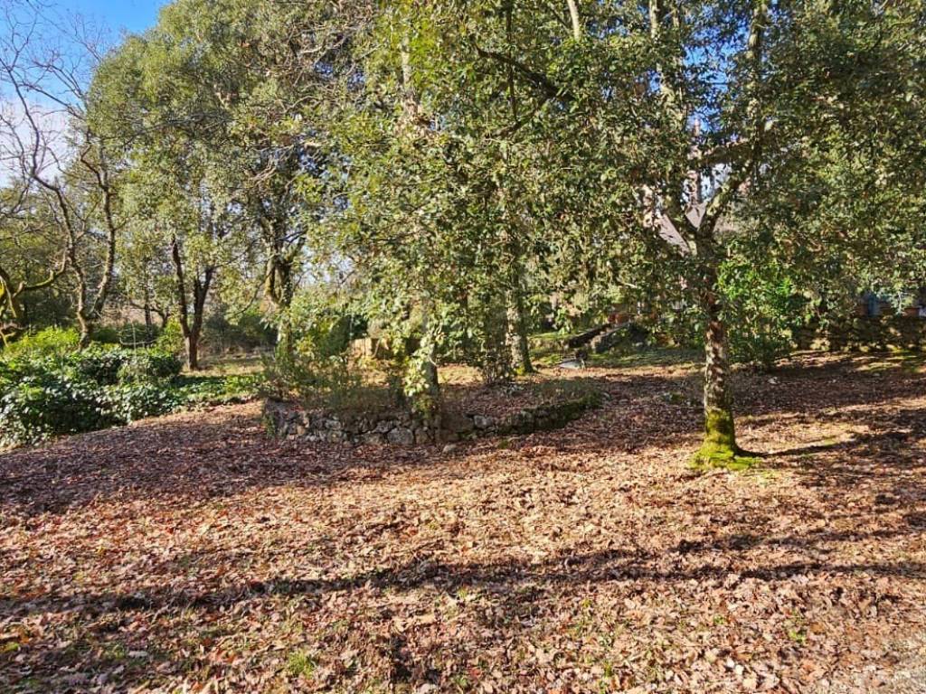 Villa a Monteriggioni in Strada di Santa Colomba - Foto 4