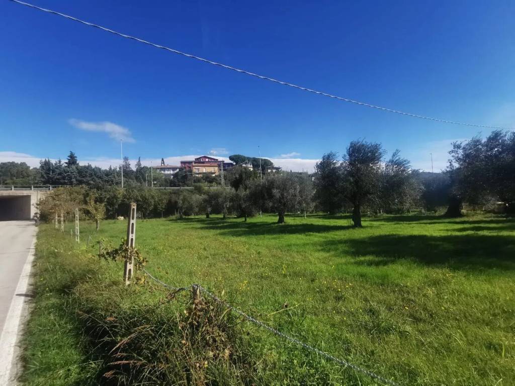 Terreno a Passignano sul trasimeno in Via Delle Ginestre No Number - Foto 2