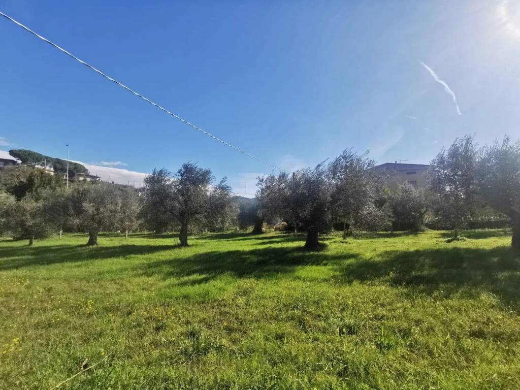 Terreno a Passignano sul trasimeno in Via Delle Ginestre No Number - Foto 3