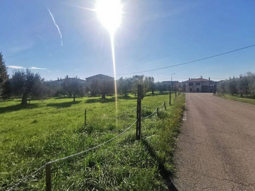 Terreno a Passignano sul trasimeno in Via Delle Ginestre No Number - Foto 4