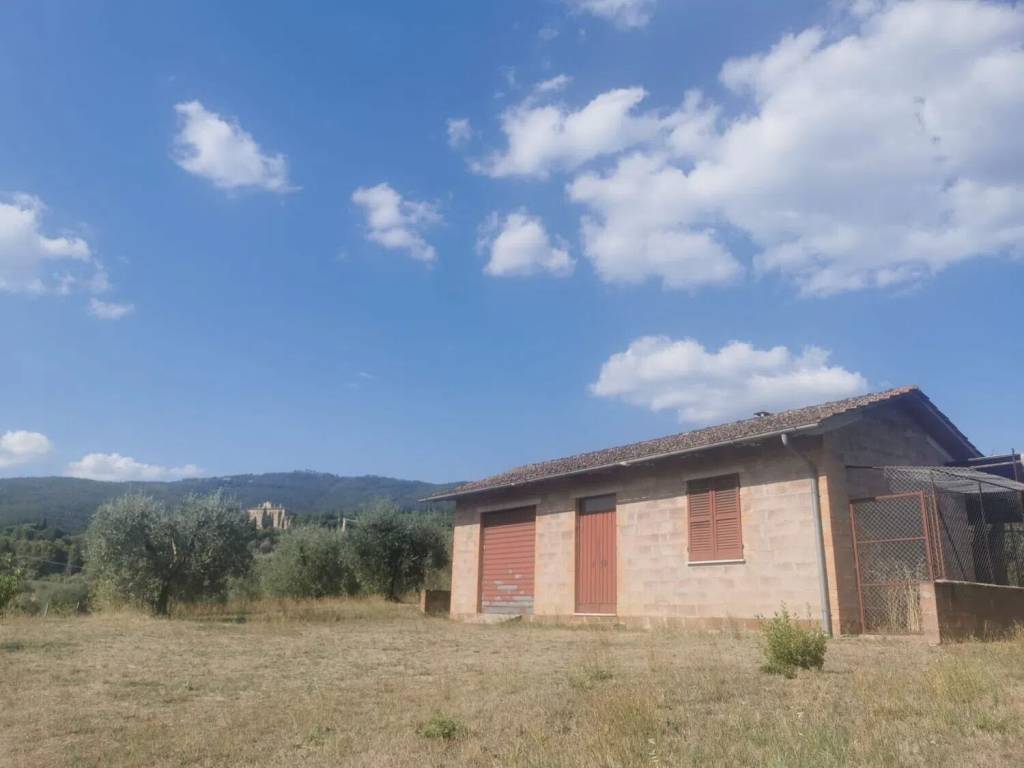 Terreno a Passignano sul trasimeno in Località Pischiello - Foto 2