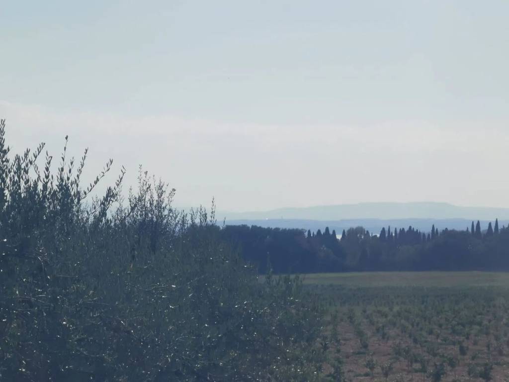 Terreno a Passignano sul trasimeno in Località Pischiello - Foto 4