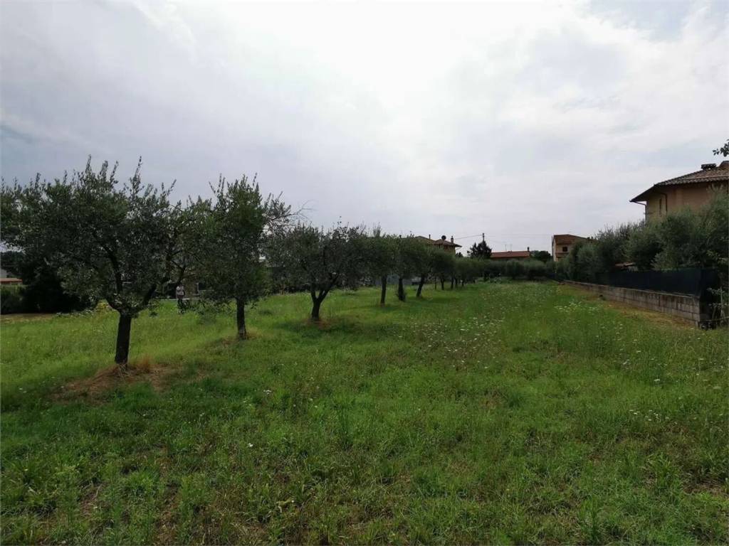 Terreno a Tuoro sul trasimeno in Via George Byron No Number - Foto 4