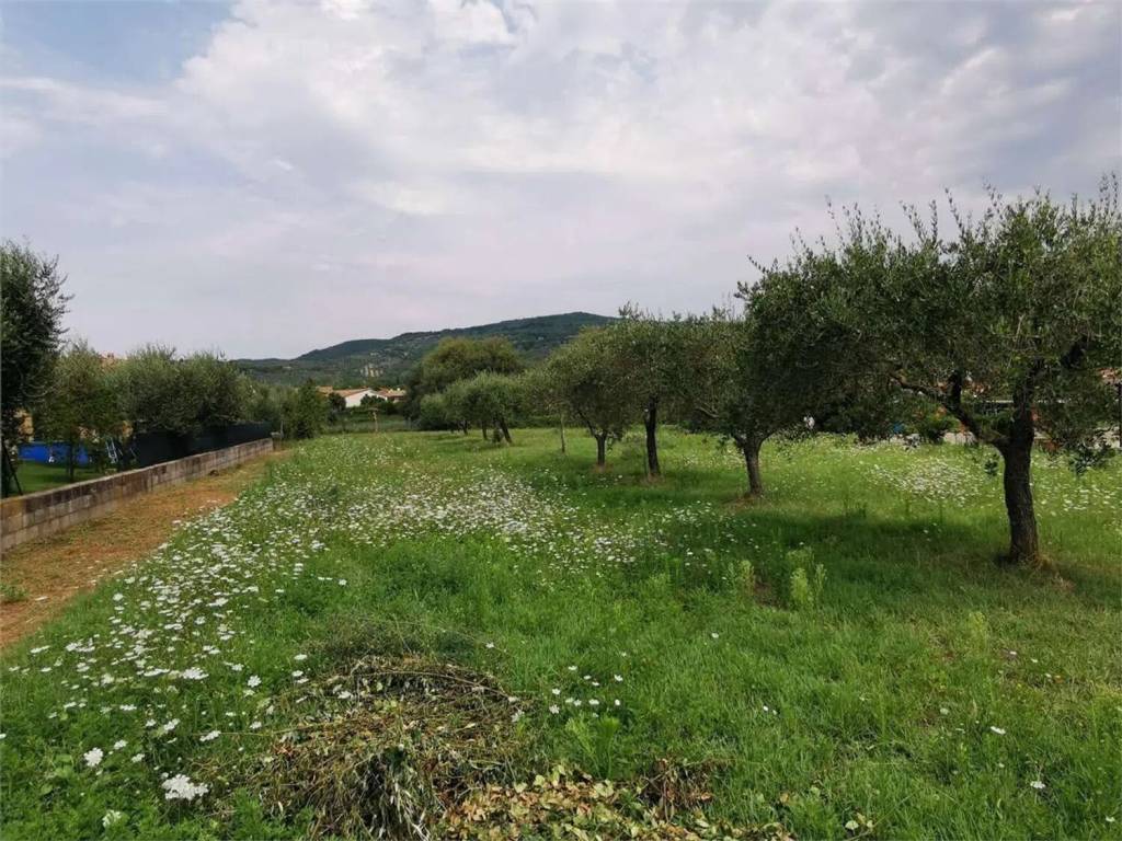Terreno a Tuoro sul trasimeno in Via George Byron No Number - Foto 5