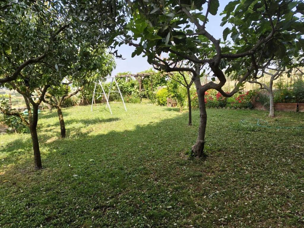 Appartamento a Cortona - Foto 5