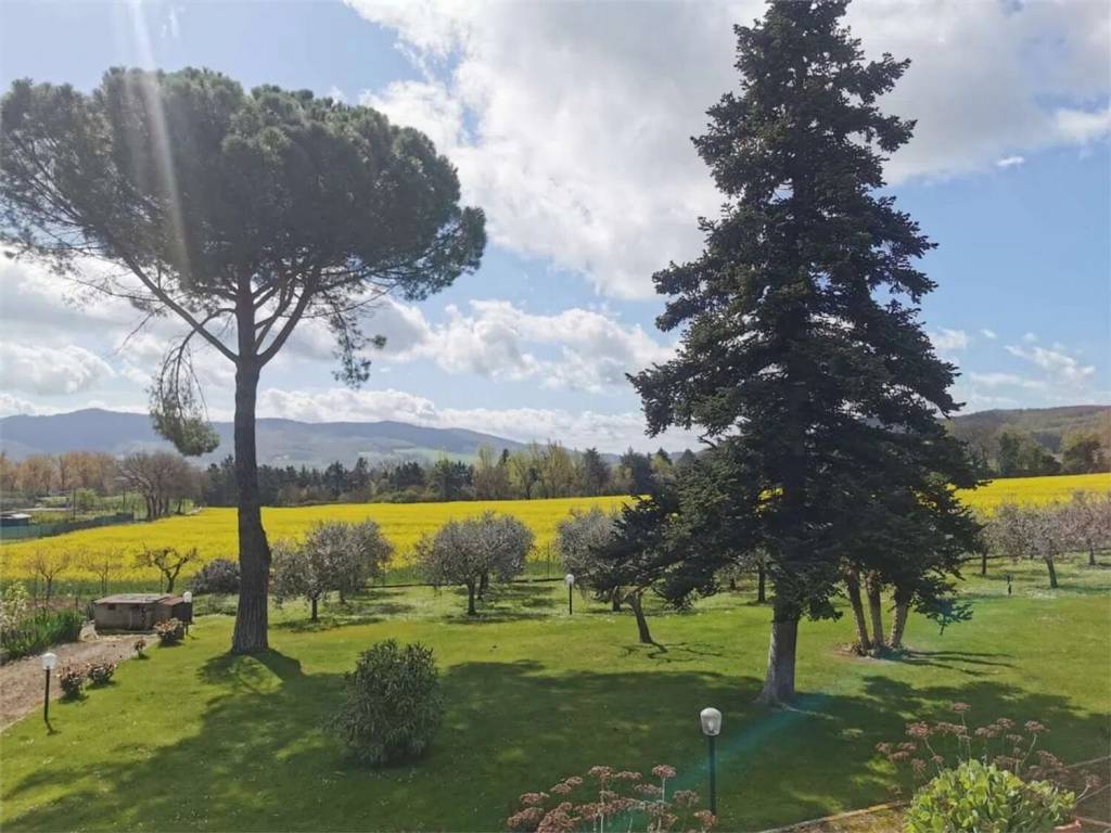 Rustico / casale a Magione - Foto 3