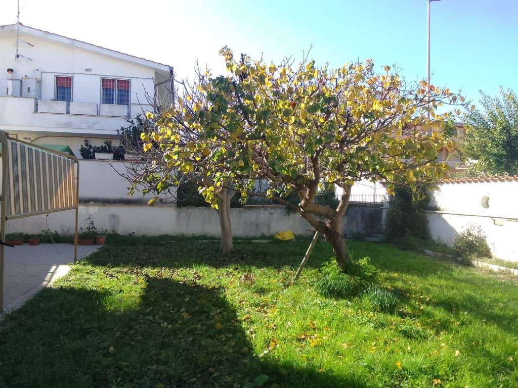 Appartamento a Ardea in Via del Pettirosso, 82 - Foto 5