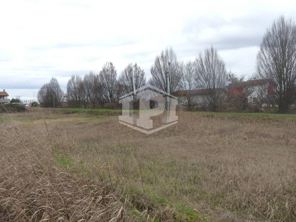 Terreno a Noventa vicentina - Foto 4